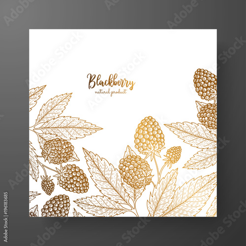 Gold card template for invitations, greeting cards, postcards, package design, or as a complement to a vintage project. Place for text. Vintage botanical engraving illustration of golden blackberry.