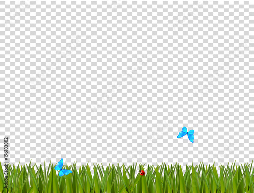 Green realistic grass border with ladybird and blue butterflies