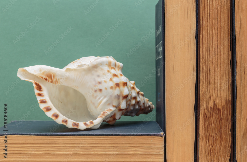 old books on a wooden shelf and seashell