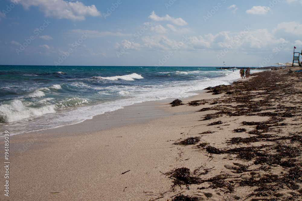 Sandy beach with seaweed
