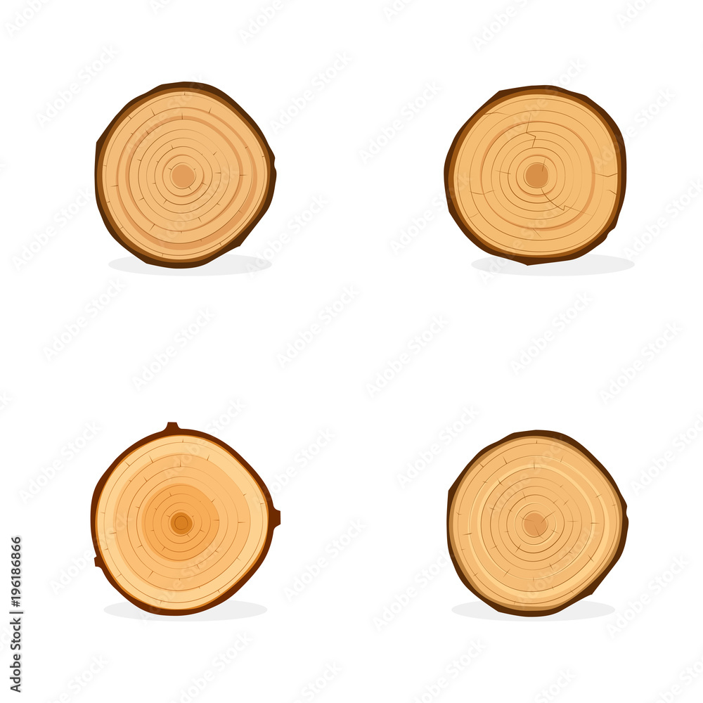 Round cross section of tree trunk Round cross section of tree trunk