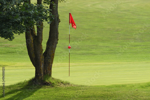 Golf Fahne neben einem Baum auf dem Golfplatz
