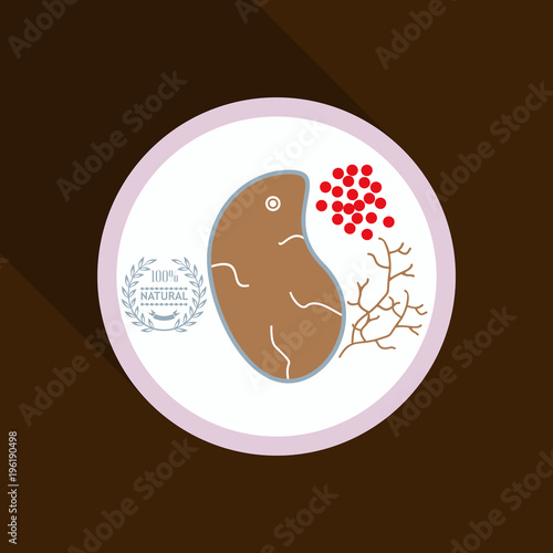 Grilled meat steak , herb on white dish in flat icon style