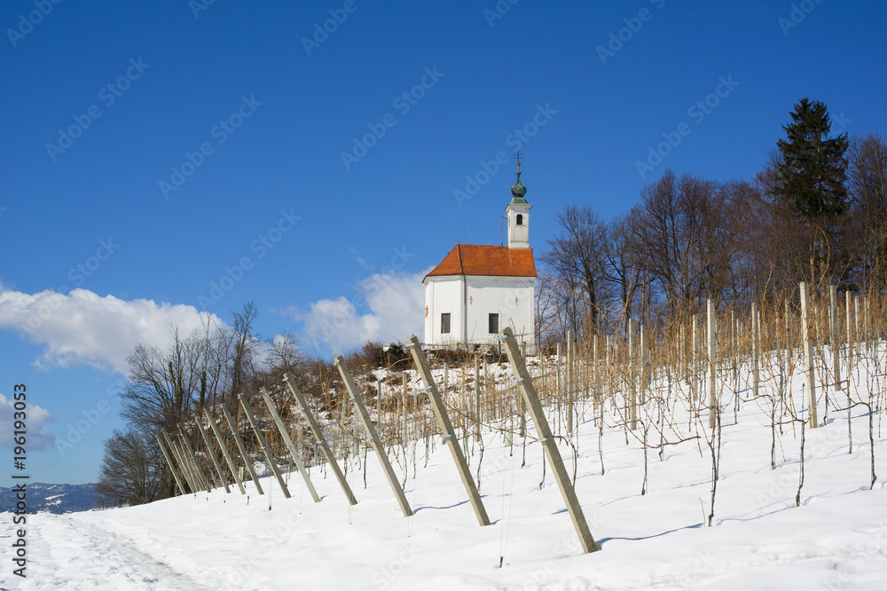 Kalvarija hill, Maribor, Slovenia, Europe - hill with vineyard and small christian chapel / church on the top. Land is covered by white snow in winter