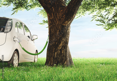Automobile elettrica in carica con albero, sostenibilità photo