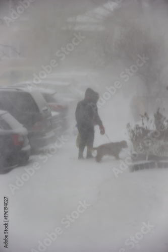 walking man with a dog. Winter, a blizzard in the city