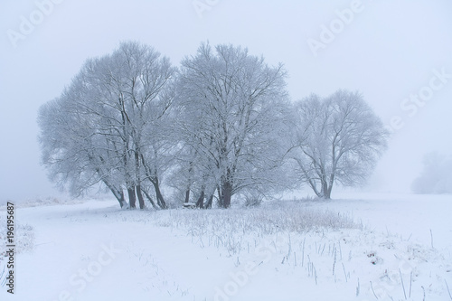 Snowy winter landscape with road and snow covered trees