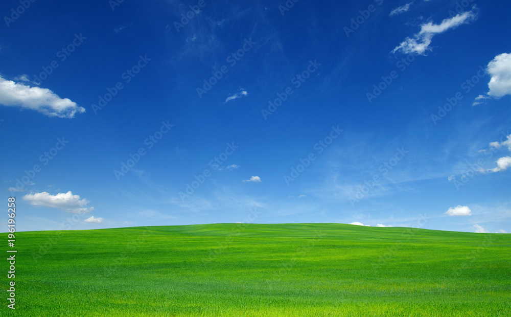 Fototapeta premium field and sky