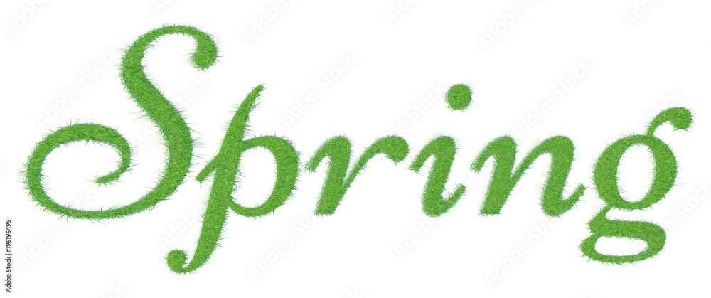 The word is spring, written in green grass. Vector illustration The word is spring, written in green grass. Vector illustration