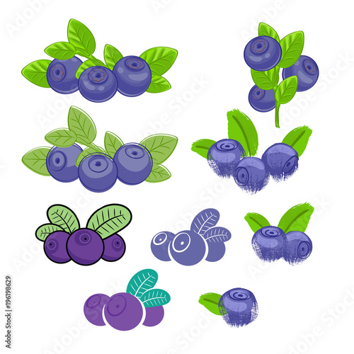 Blueberry icons big set. Different styles.