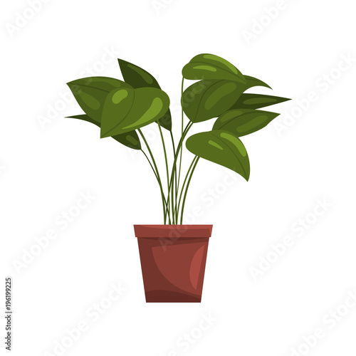 House plant in brown pot, element for decoration home interior vector Illustration on a white background