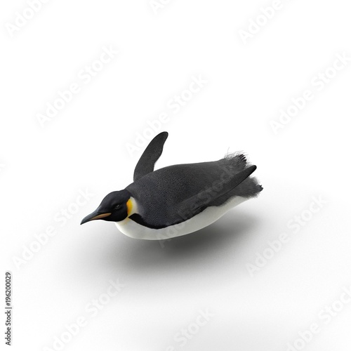 Emperor penguin sliding. isolated on white. 3D illustration