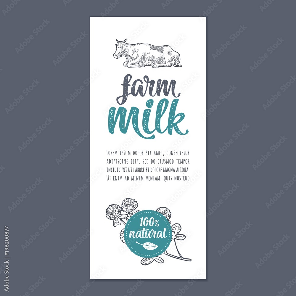 Template poster or label with cow and clover. Farm milk lettering