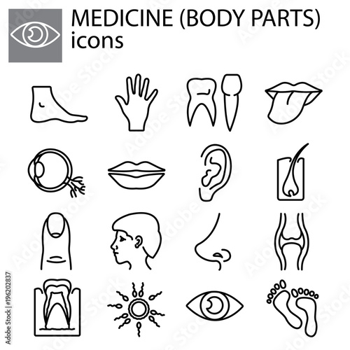 Web line set. Medicine (body parts) black on white background