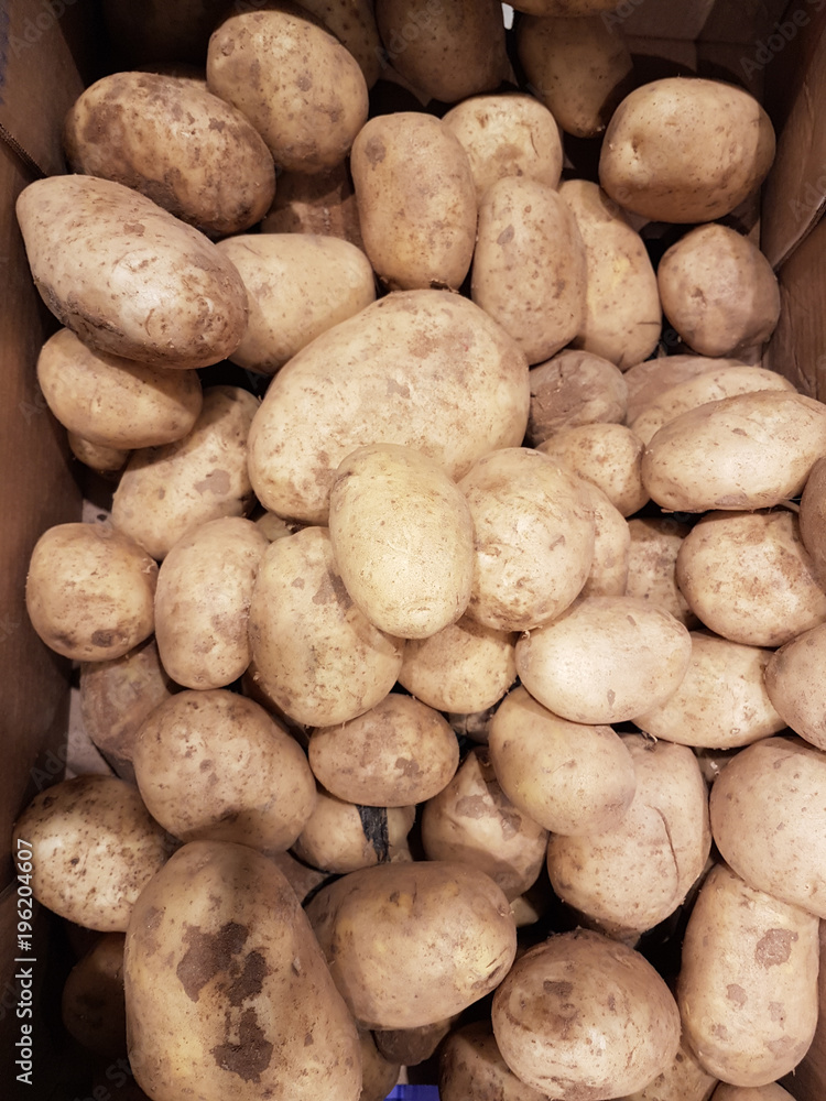 potatoes pile top view many for background potatoes pile top view many for background