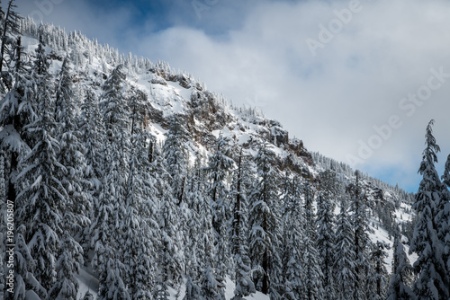 Winter Forest Crater Lake Snowy Mountain Landscape Photograph Oregon Pacific Northwest Mountain Trees photo