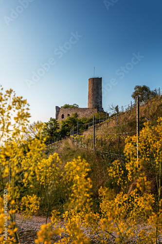 Deutsche Burg vor blauem Himmel mit gelben Blumen