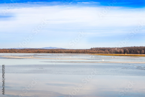      Beautiful winter landscape in countryside  lake surface in nature park Lonjsko polje  Croatia 