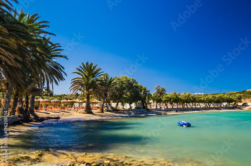 Agia Irini beach  Paros island  Greece. Beautiful greek beach with palms in Cyclades Islands