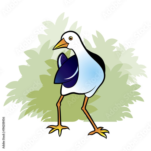 water hen walking and  looking vector cartoon