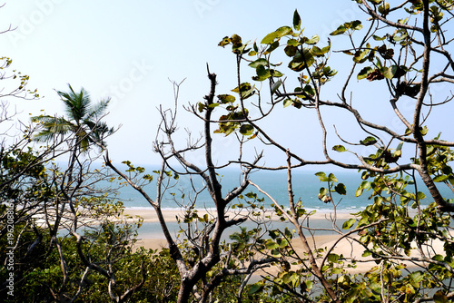 Устье реки впадающей в океан