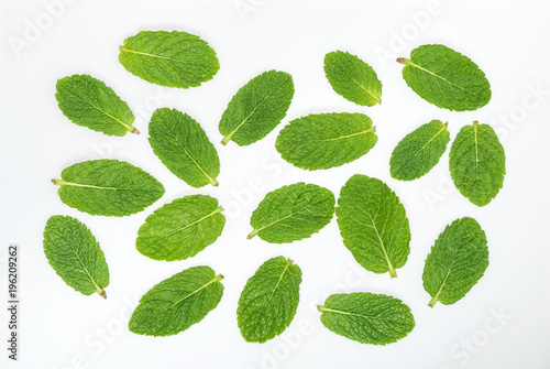 Mint leaves on a white top view