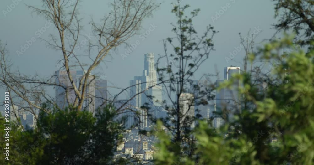 Skyscrapers seen through branches Skyscrapers seen through branches
