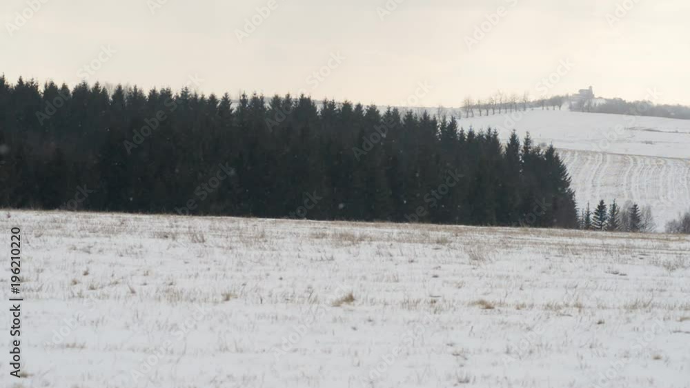 custom made wallpaper toronto digitalWinter mountain landscape countryside filed meadow forest snow