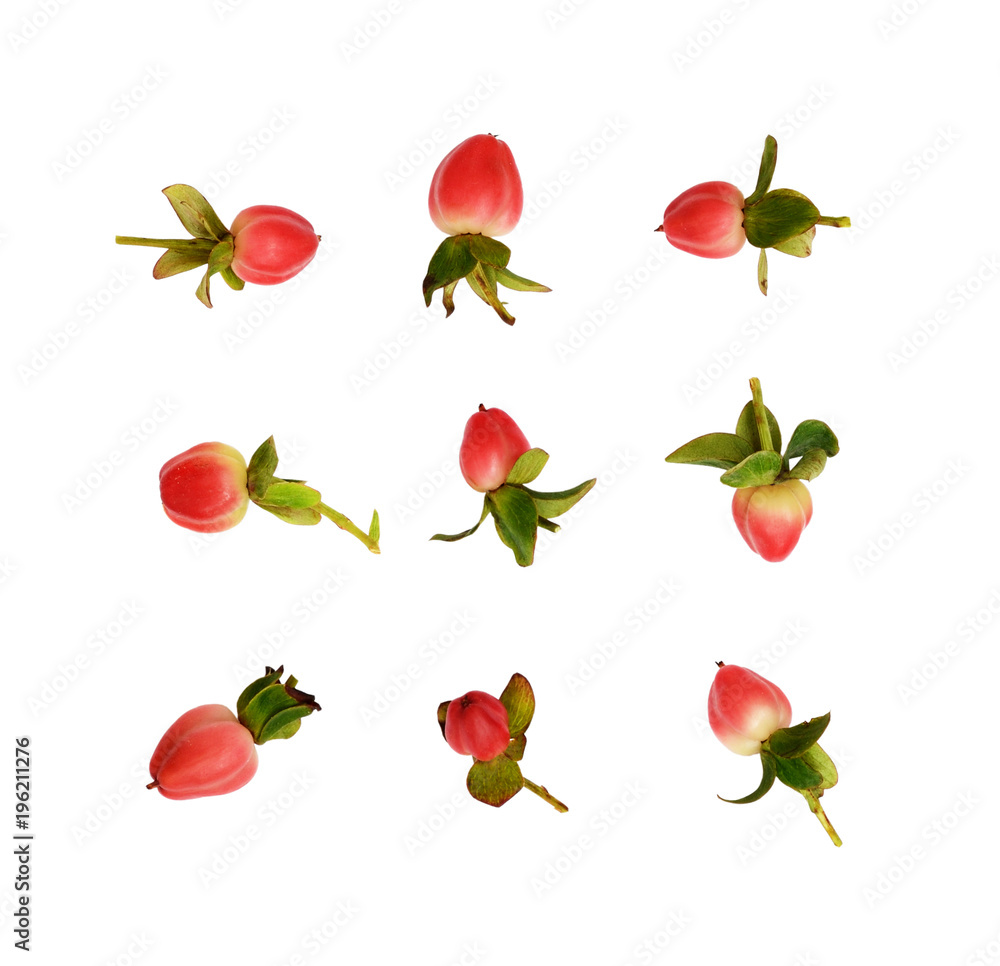 Set of decorative red berries Set of decorative red berries