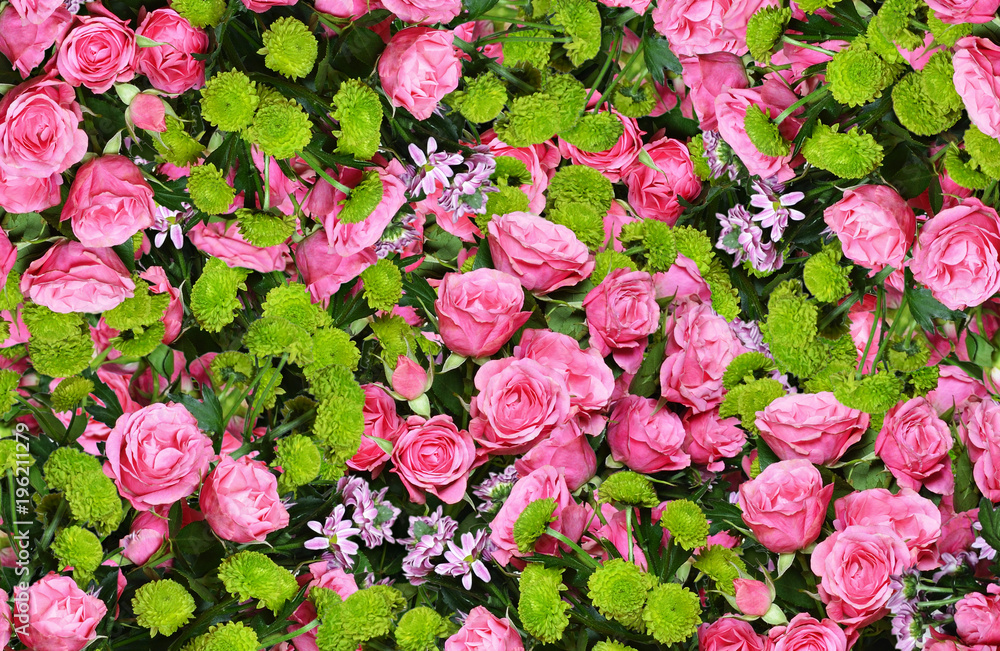 Pink roses and aster flowers Pink roses and aster flowers