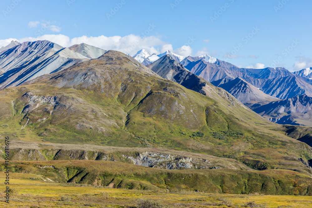 Scenic Denali National Park Alaska Landscape
