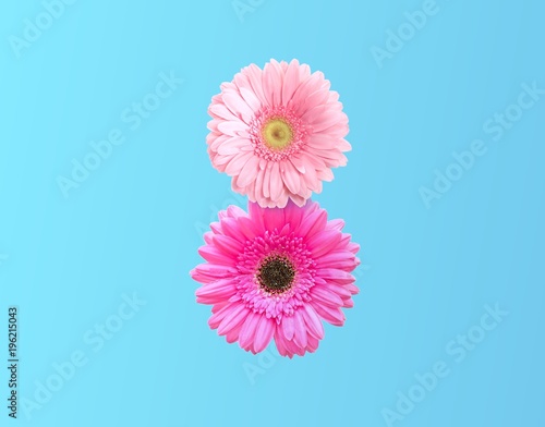 International Women's Day. number 8 in the style of pink flower on pastel blue background. minimal idea nature. An idea creative to Flyer for March 8 with the decor of floral, spring flowers concept.