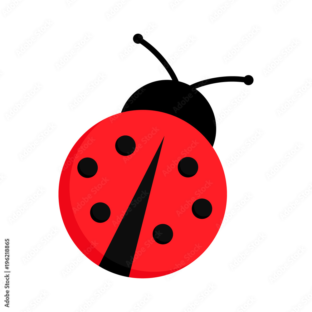 Obraz premium Biedronka lub biedronka wektor graficzny ilustracja na białym tle. Ładny prosty płaski kształt chrząszcza pani czarny i czerwony.