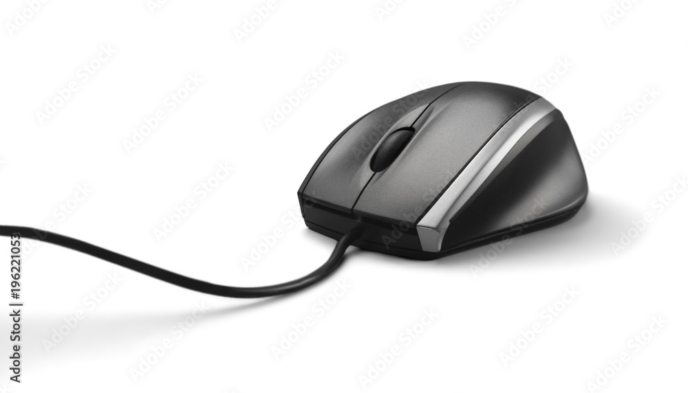 Computer Mouse