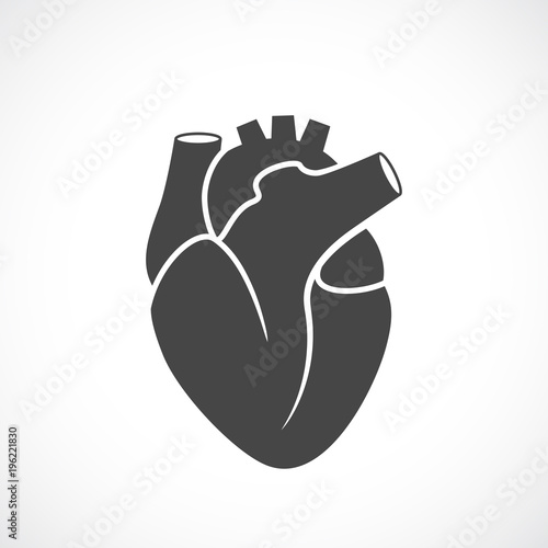 Heart organ vector symbol