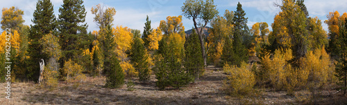 Beautiful autumn in Grand Teton NP in Wyoming in the USA 