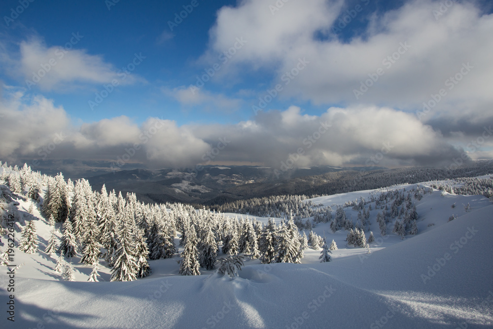 Sunny weather in the mountains of the Carpathians. Blue sky.
Sunny weather in the mountains of the Carpathians. Blue sky.