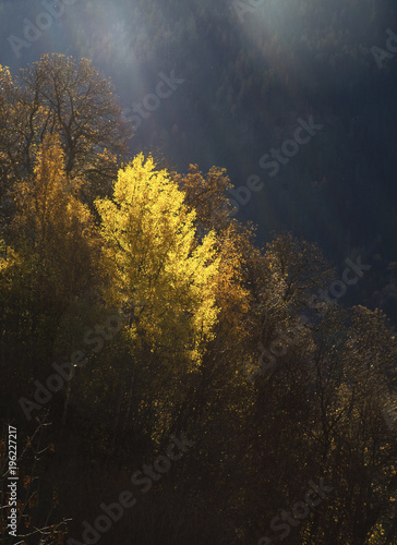 rispecchio di luce in autunno photo