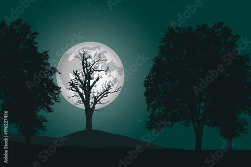 vector illustration of a deep deciduous forest under a night sky with full moon © Forgem