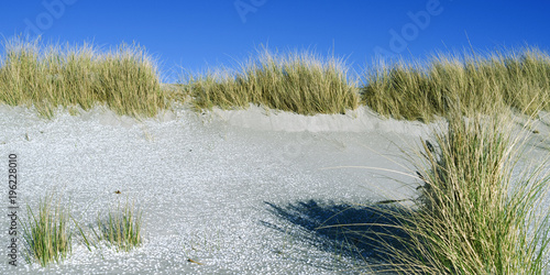Fototapeta Naklejka Na Ścianę i Meble -  Laesoe / Denmark: Thousands of little white seashells cover the beach at the foot of the dunes in Vesteroe Havn