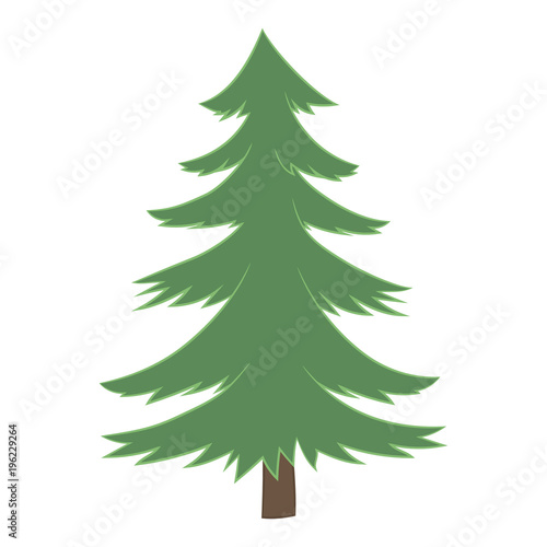 Vector painted pine Christmas tree with green pine-tree trunk isolated on white background.