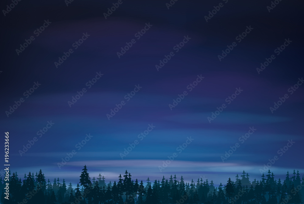 Vector   night   sky and  forest background.