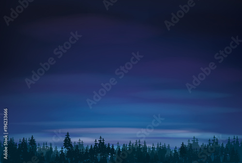 Vector   night   sky and  forest background.