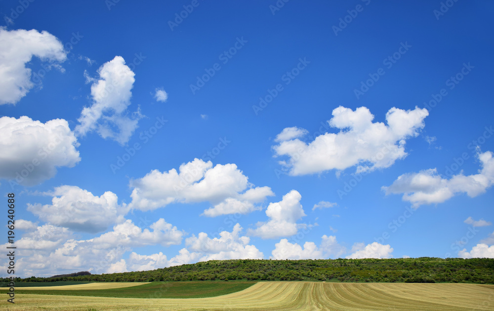 Countryside landscape - green grain farm field in spring Countryside landscape - green grain farm field in spring