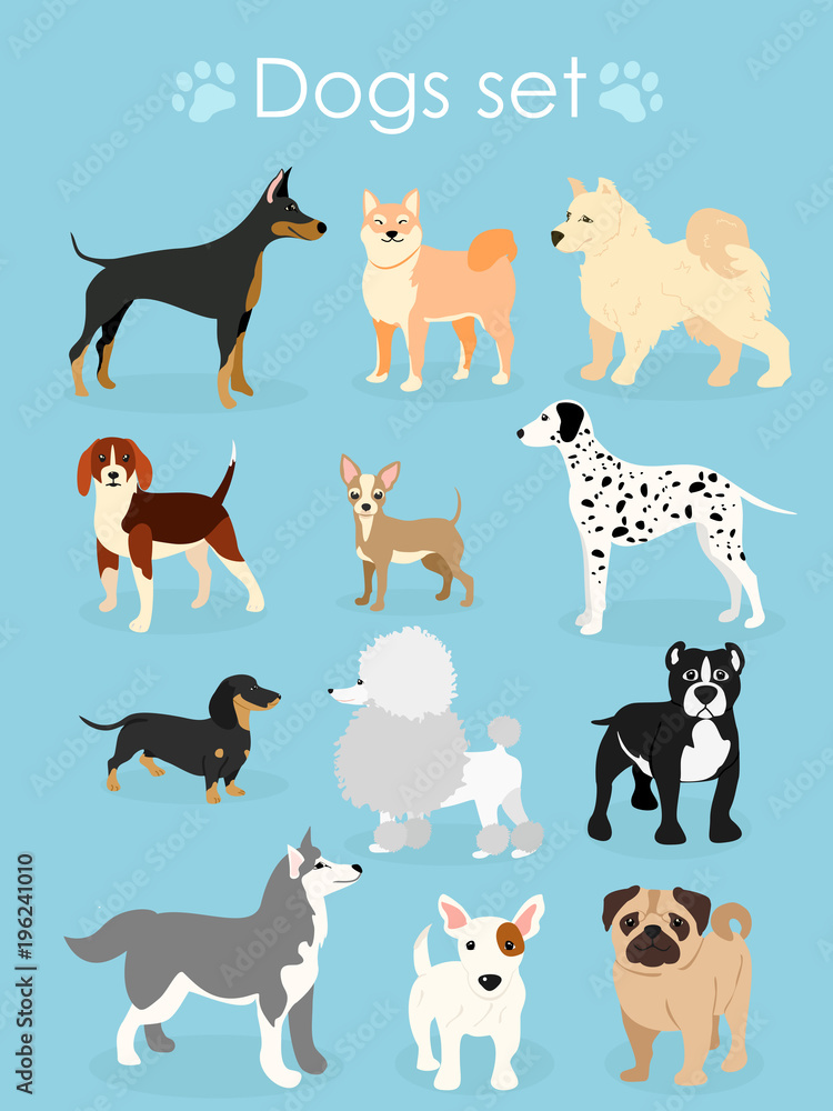 Vector illustration, set of funny purebred dogs, on a light blue background.