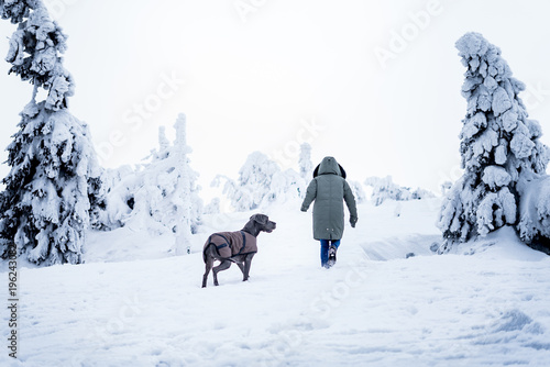 Mädchen mit Deutscher Dogge im Schnee
