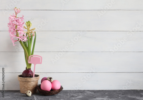 Fototapeta Naklejka Na Ścianę i Meble -  A pink hyacinth in a pot and Easter eggs in a nest against a white wood background. Concept of: Spring renewal. Easter still life.