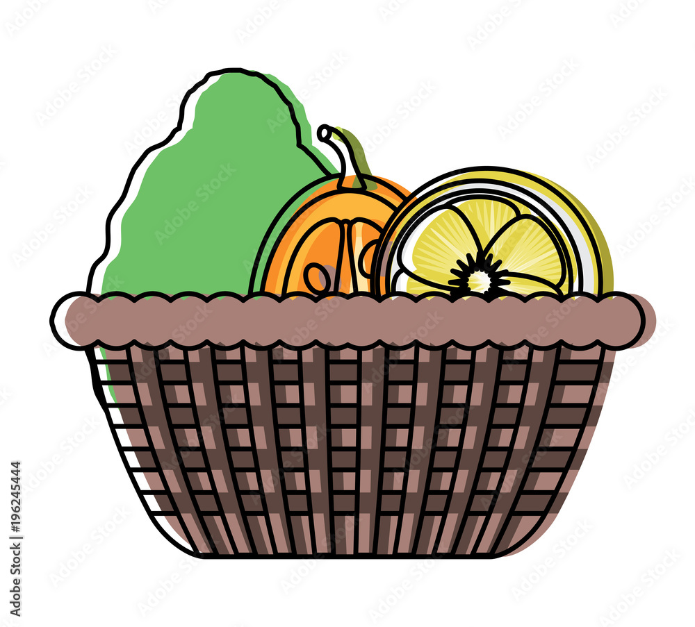 basket with healthy fruits icon over white background, colorful design. vector illustration basket with healthy fruits icon over white background, colorful design. vector illustration