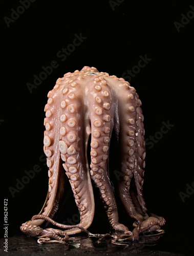 Krake Oktopus Seafood Pulpo photo