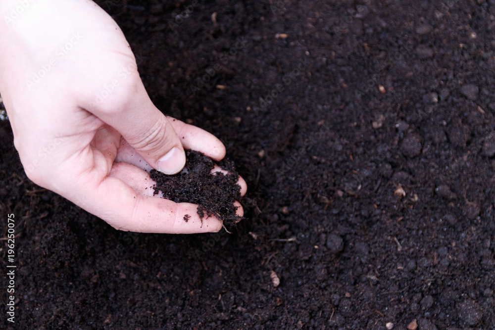 Man farmer holding soil. Earth day and ecology concept